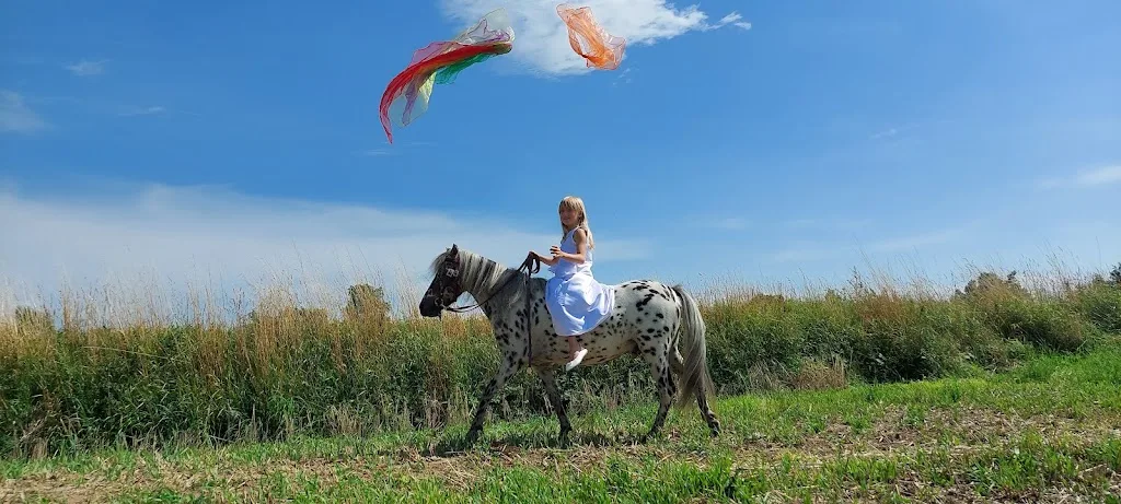 Sunny Horse Ranch - Foto 2