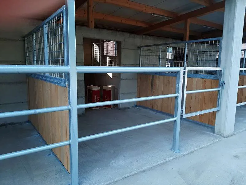 Reit- und Zuchtstall Bernhapper - photo 2