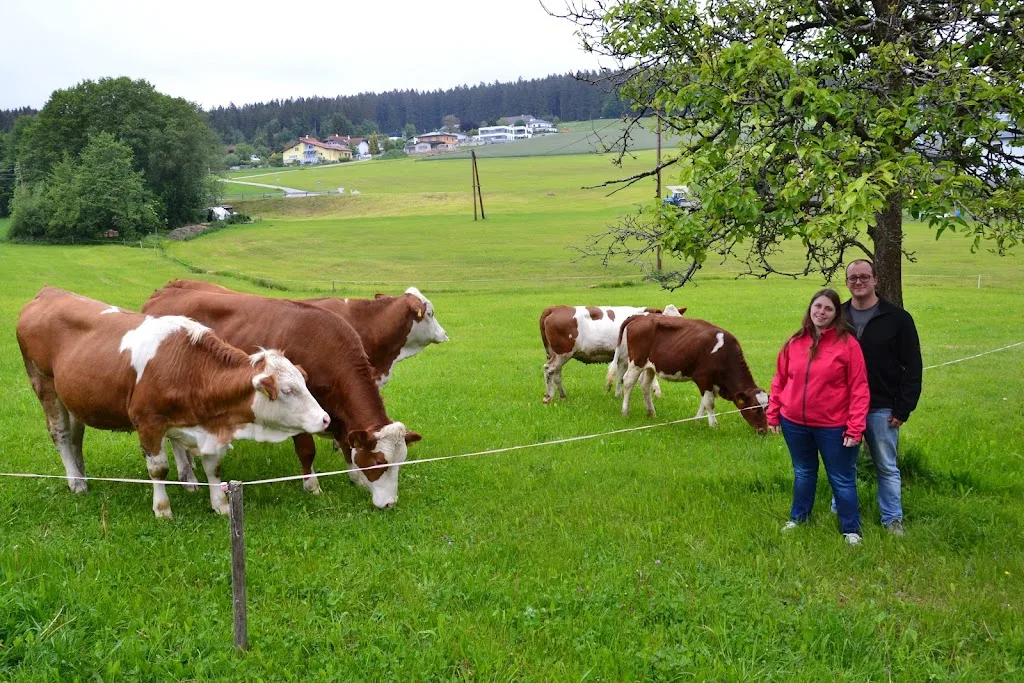 Reissnhof - Pferdestall Familie Birngruber - Foto 1