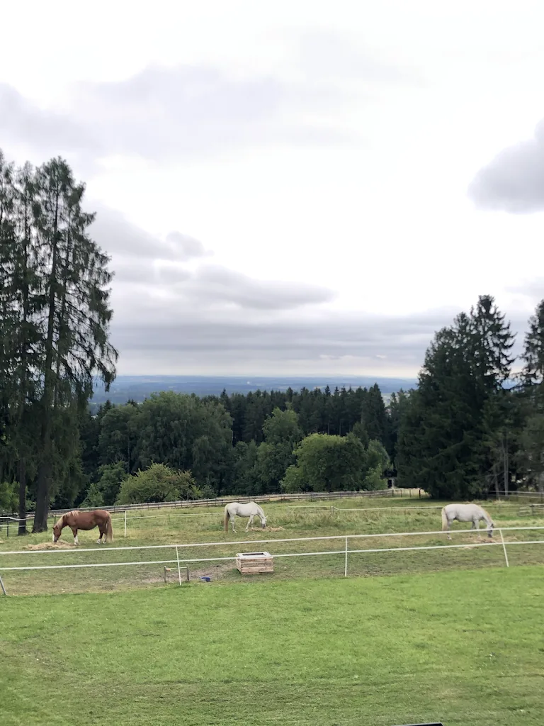 Kogl 23 - Foto 1