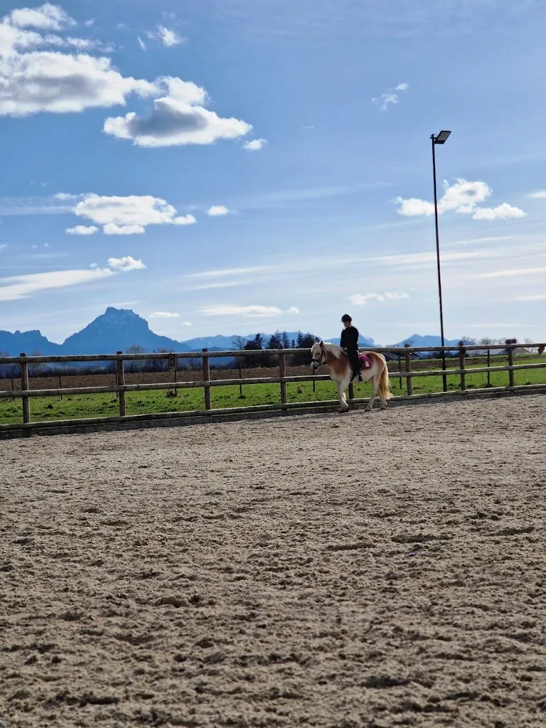 Reitanlage Reichlgut - photo 3