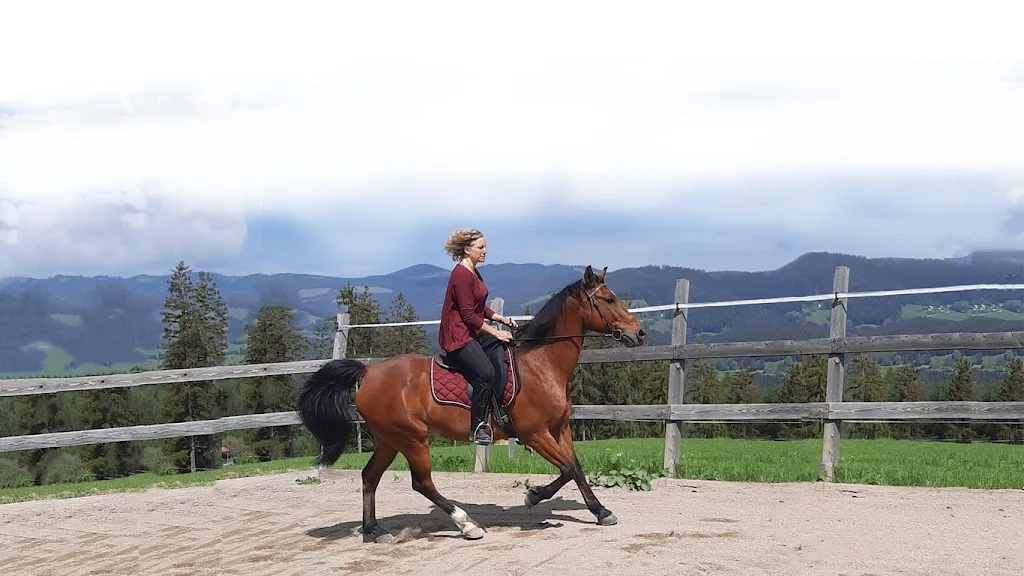 Ariane Göschke Reiten mit Qualität - Foto 1