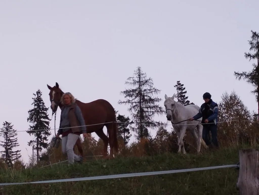 Ariane Göschke Reiten mit Qualität - Foto 2