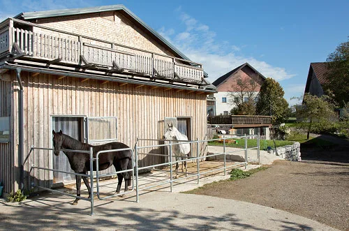 Kreuzerhof Seekirchen Pferdetransporte | Einstellbetrieb | Zucht - Foto 2