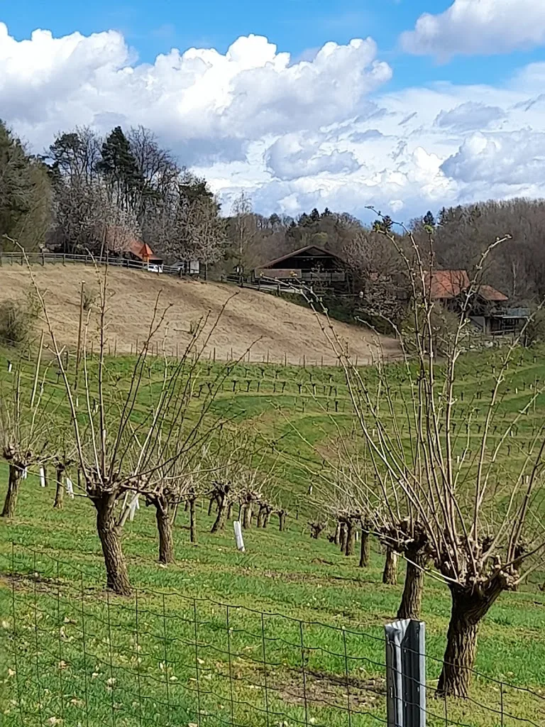 Auszeit-Hof Südburgenland - Foto 3