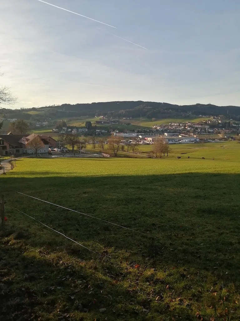 Pferdehof Gaisriegl - photo 3