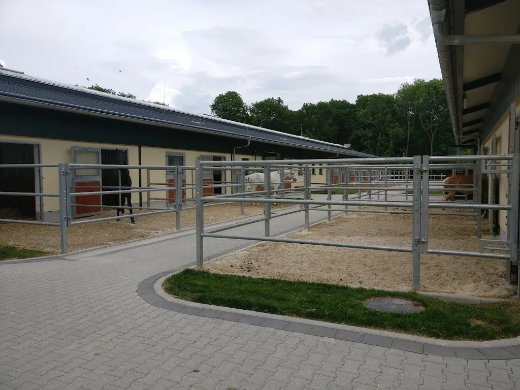 Reitstall Laxenburg Equisport - photo 2