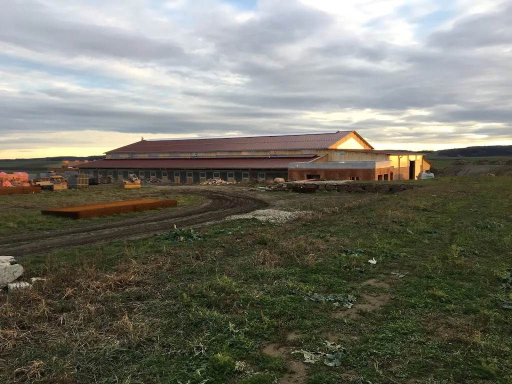 Pferdehof Pfaller Gmbh - Foto 1