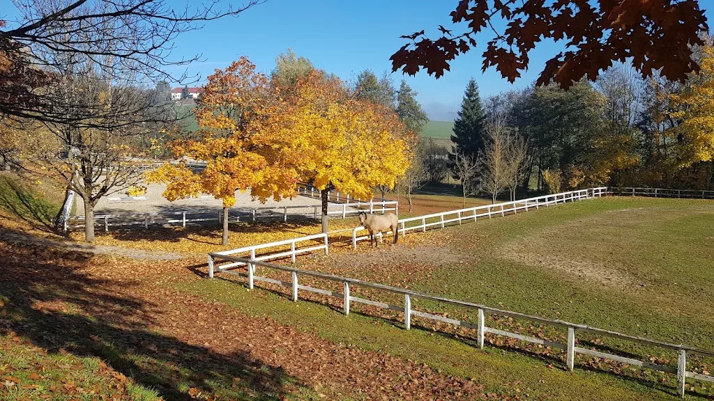 Reitstall Pollhammer - photo 1
