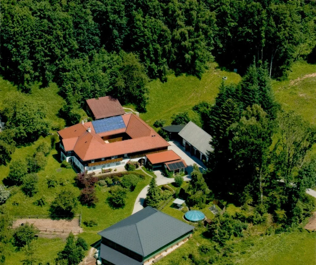 Therapie-Reitstall Lexngut - photo 2