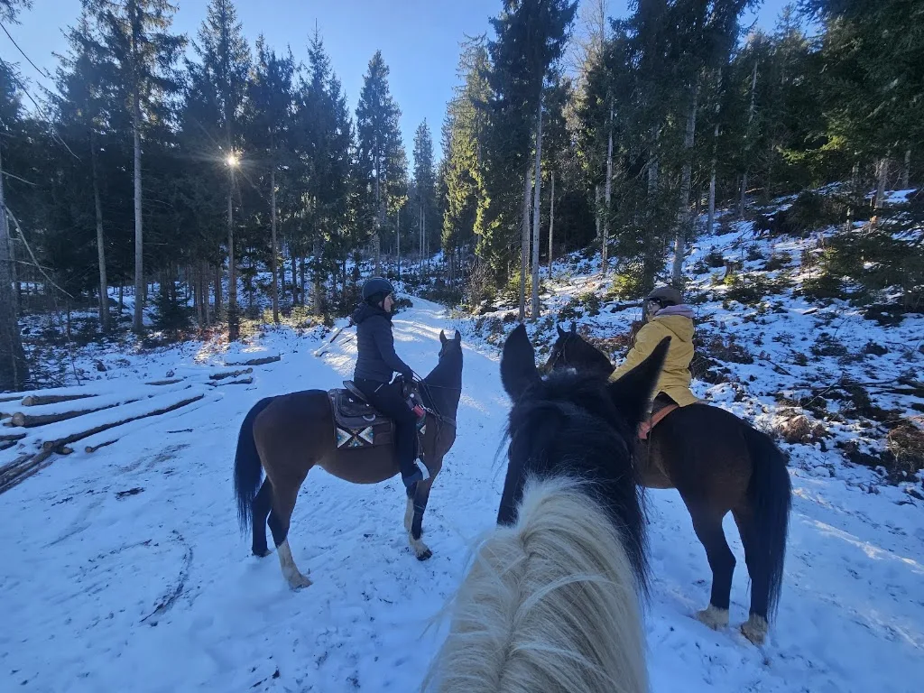 KAMARI-Ranch - Foto 1