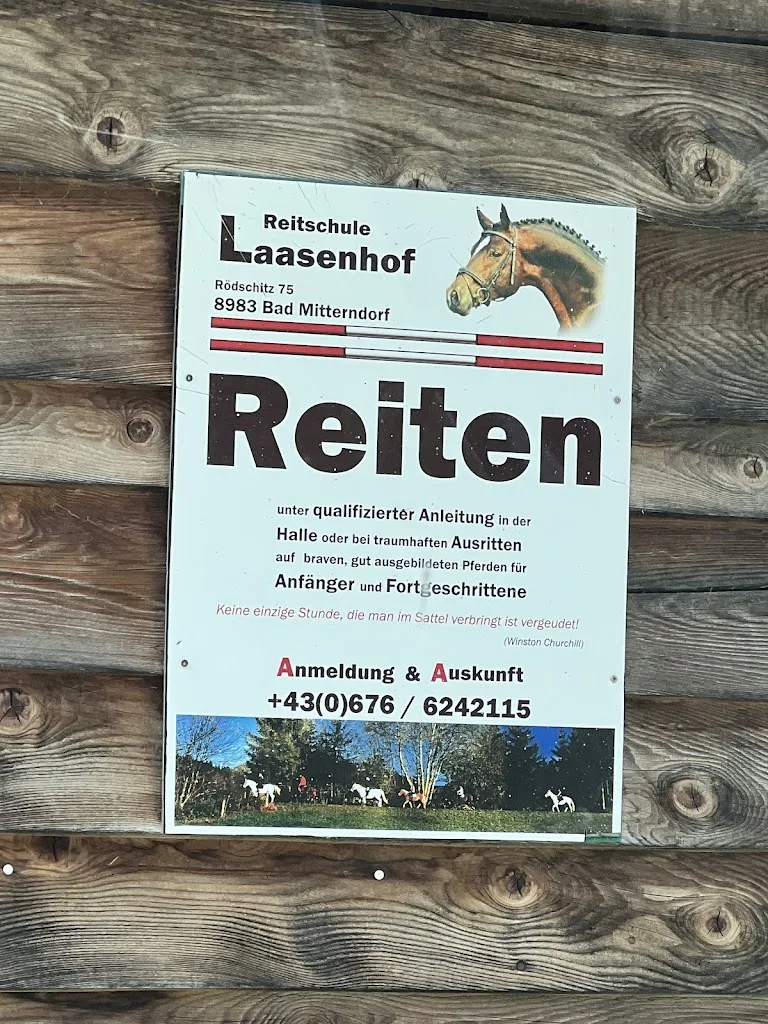Reitschule Laasenhof - Foto 1