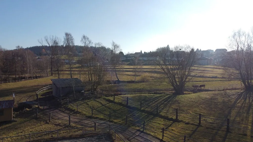 Pferdehof Leitner - photo 2