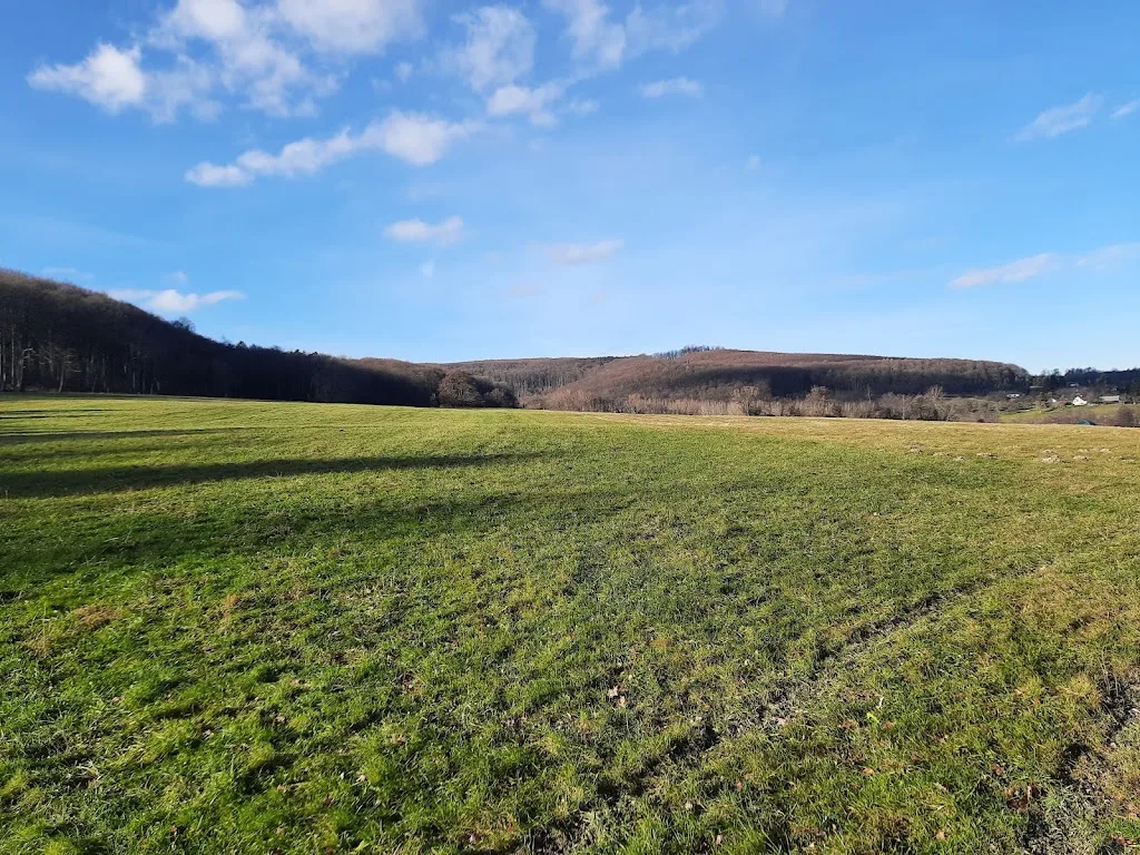 Pferdestall Grubmüller - Foto 1