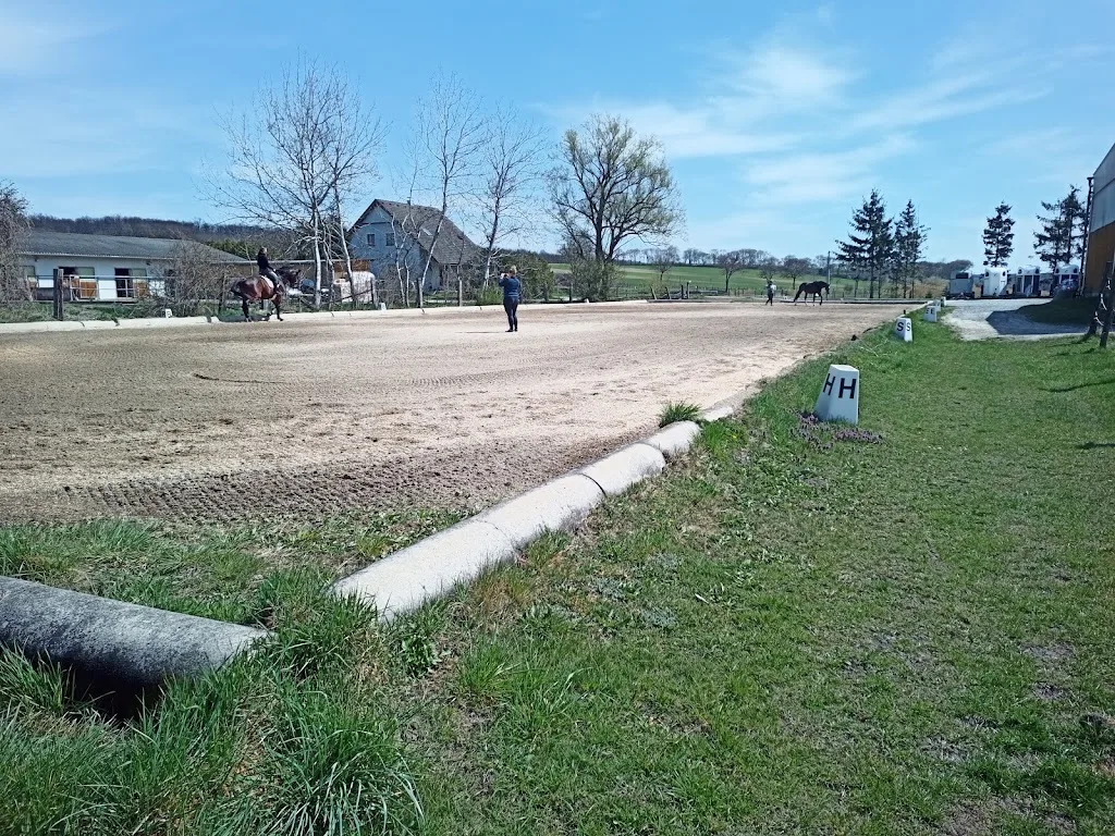 Reitstall - Deckstation Bauer - Foto 1