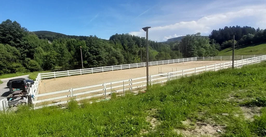 Gestüt Hammerbauer - Foto 1