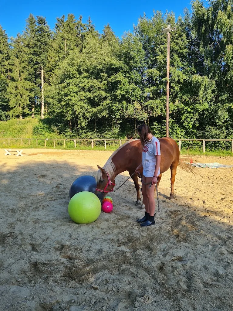 Reitstall Kerschhofer - Foto 3