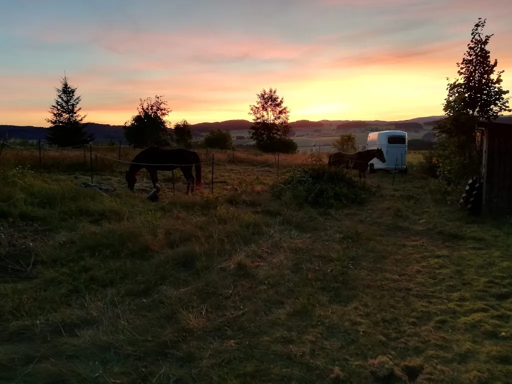 Time Ranch - Foto 2
