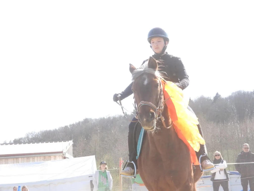 Ganzheitliche ReitAngebote - Foto 2