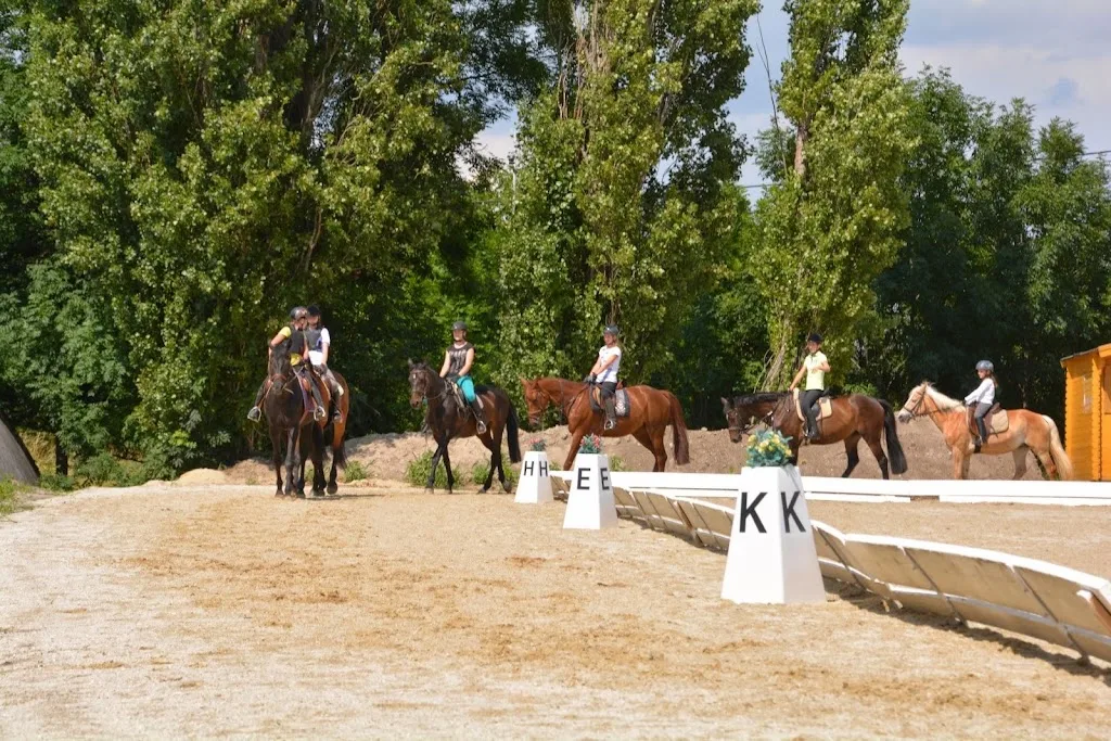 Reitstall Kottingbrunn - photo 1
