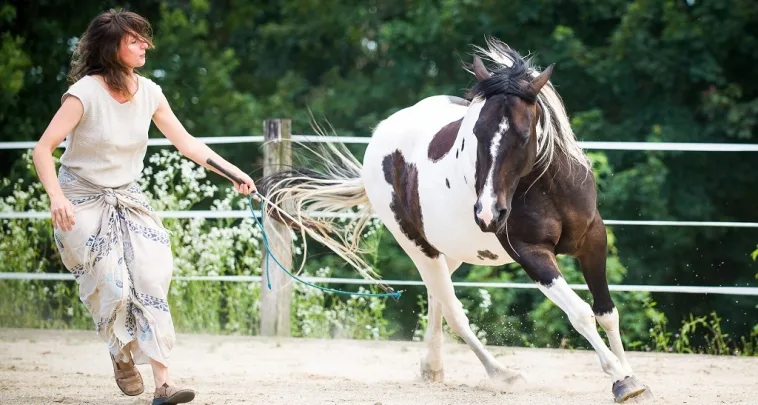 Pferd Mensch Oase - Foto 3