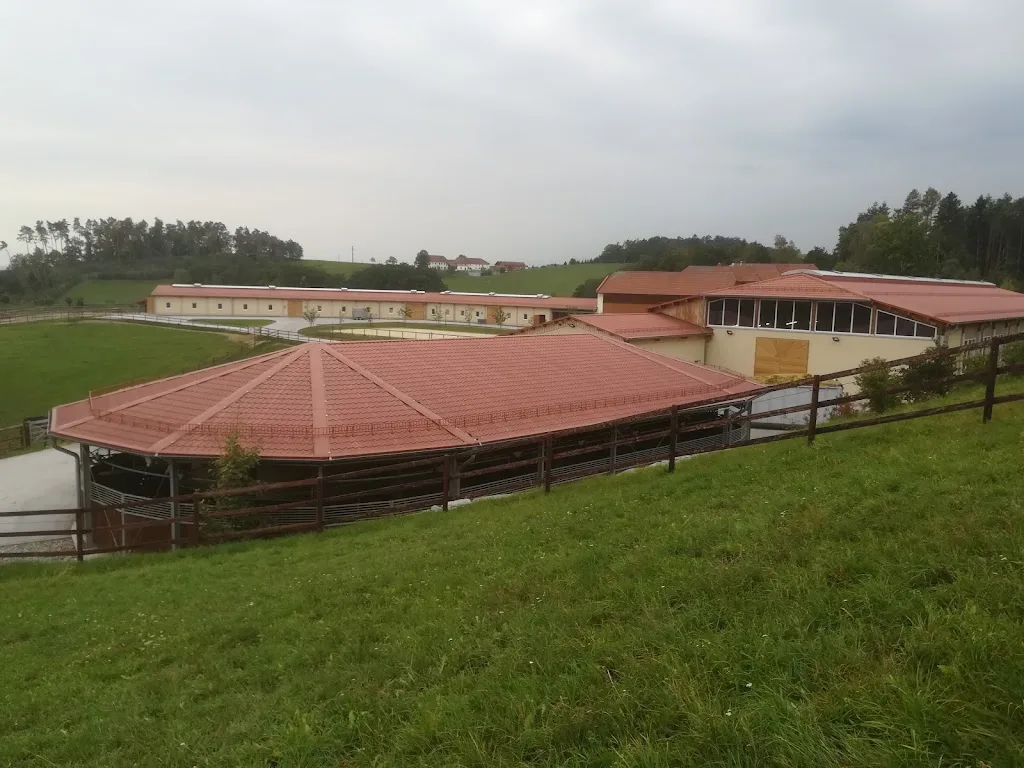 Pferdezucht Hedwig Eder - photo 1
