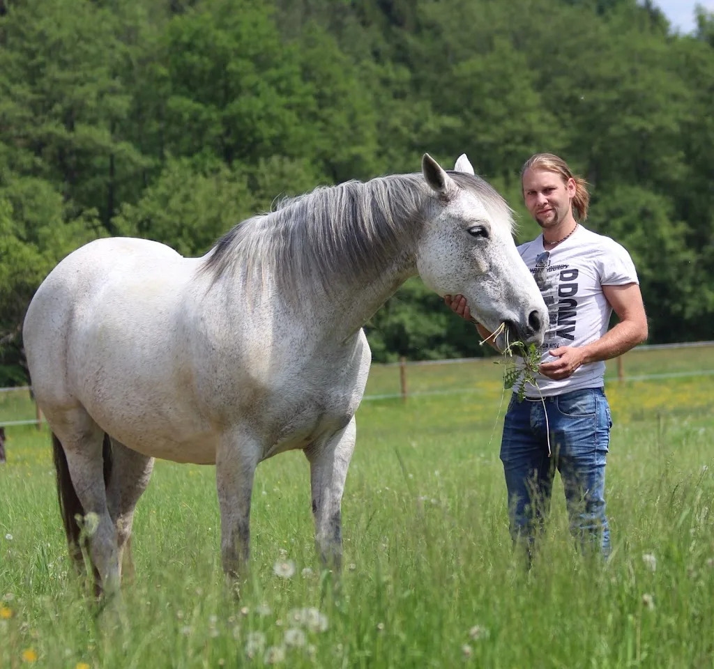 Reitstall Scheriebl - Foto 2