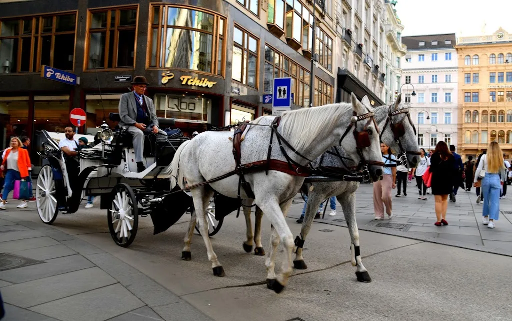Mag. Martina Michelfeit - Fiaker Wien - Foto 1
