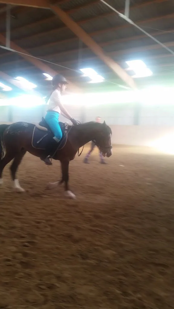 Reitstall Petrak - Foto 1