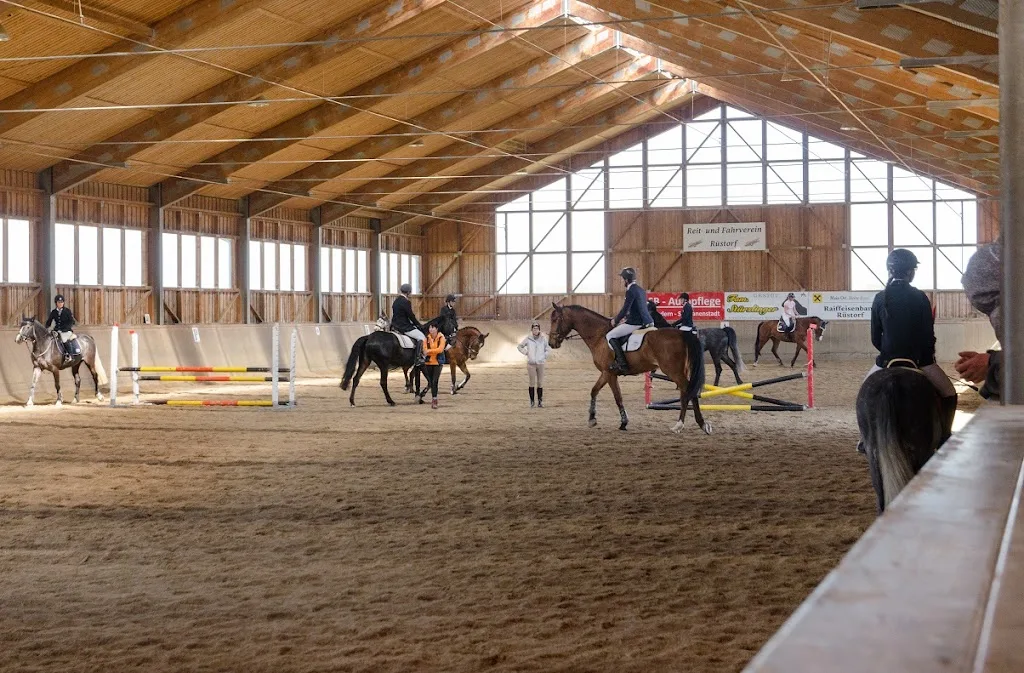 Reitstall — Gestüt Stürzlinger - photo 2