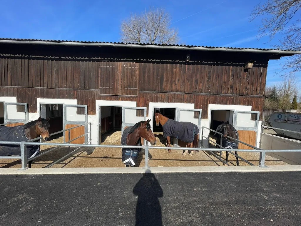 Reitanlage "Am Dornberg" - Foto 1