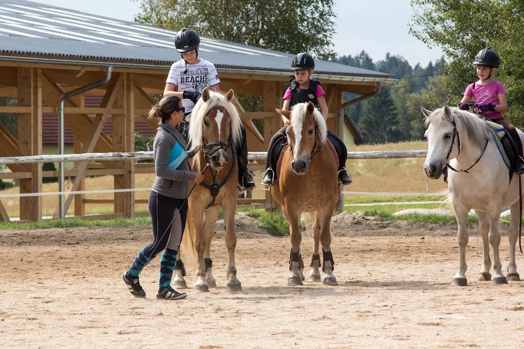 Reitsportzentrum Pany - photo 3
