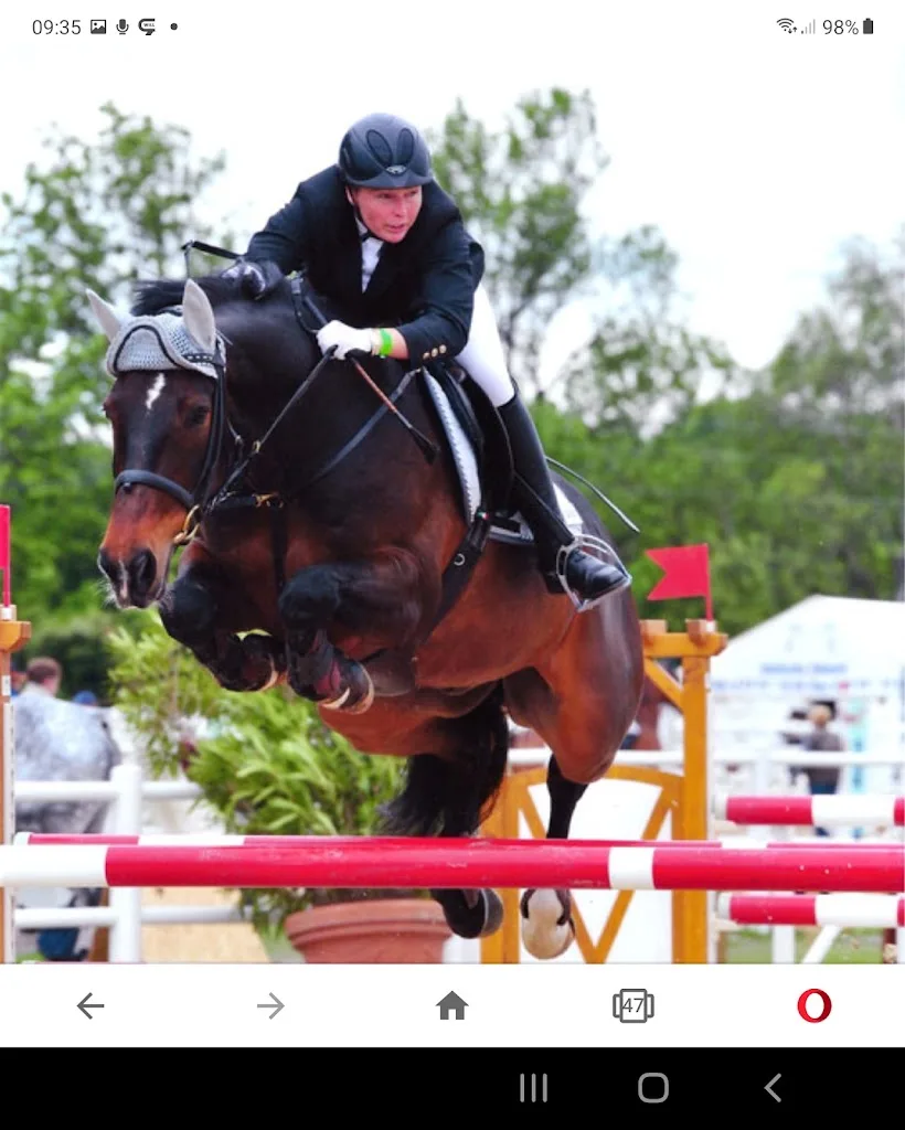 ReitClub Donaustadt - Barbara Zehetgruber - Foto 3