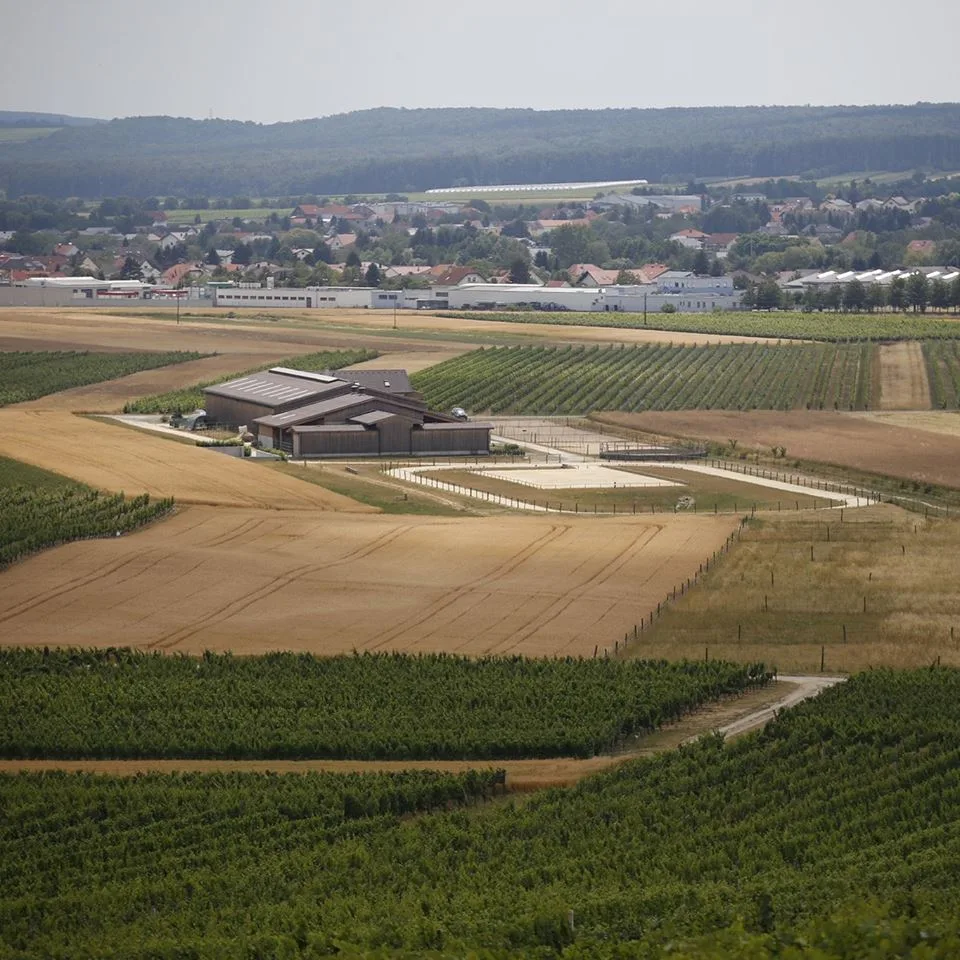 Hammerwiesenhof - Foto 3