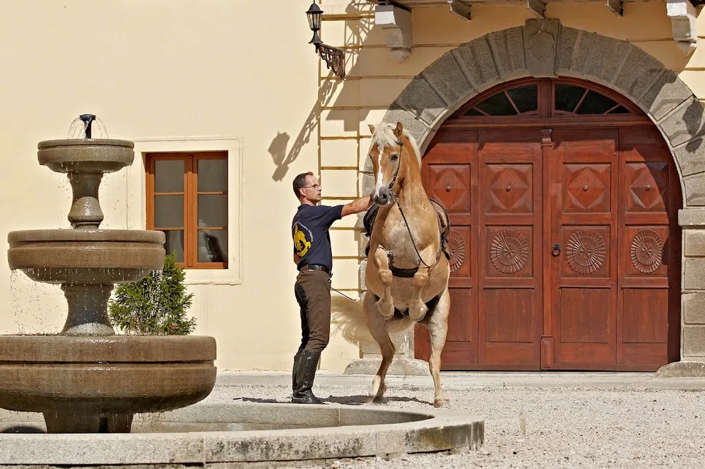 Alexanderhof, Pferde für Menschen - Menschen für Pferde - photo 2