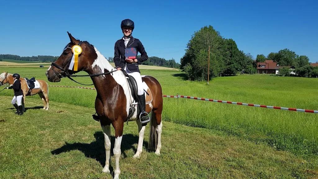 Union Reitclub St. Georgen - photo 1