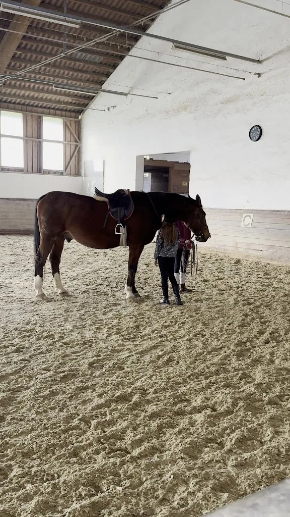 Union Reitclub St. Georgen - photo 2
