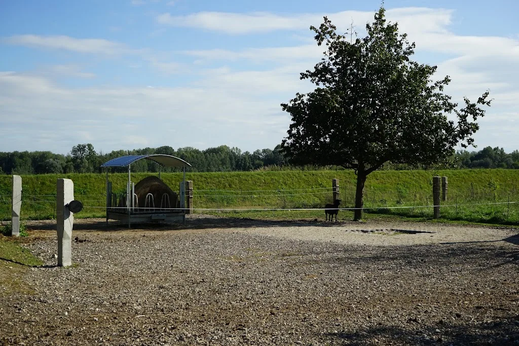 Pferdehof Fischerlehen zu Abwinden - photo 2