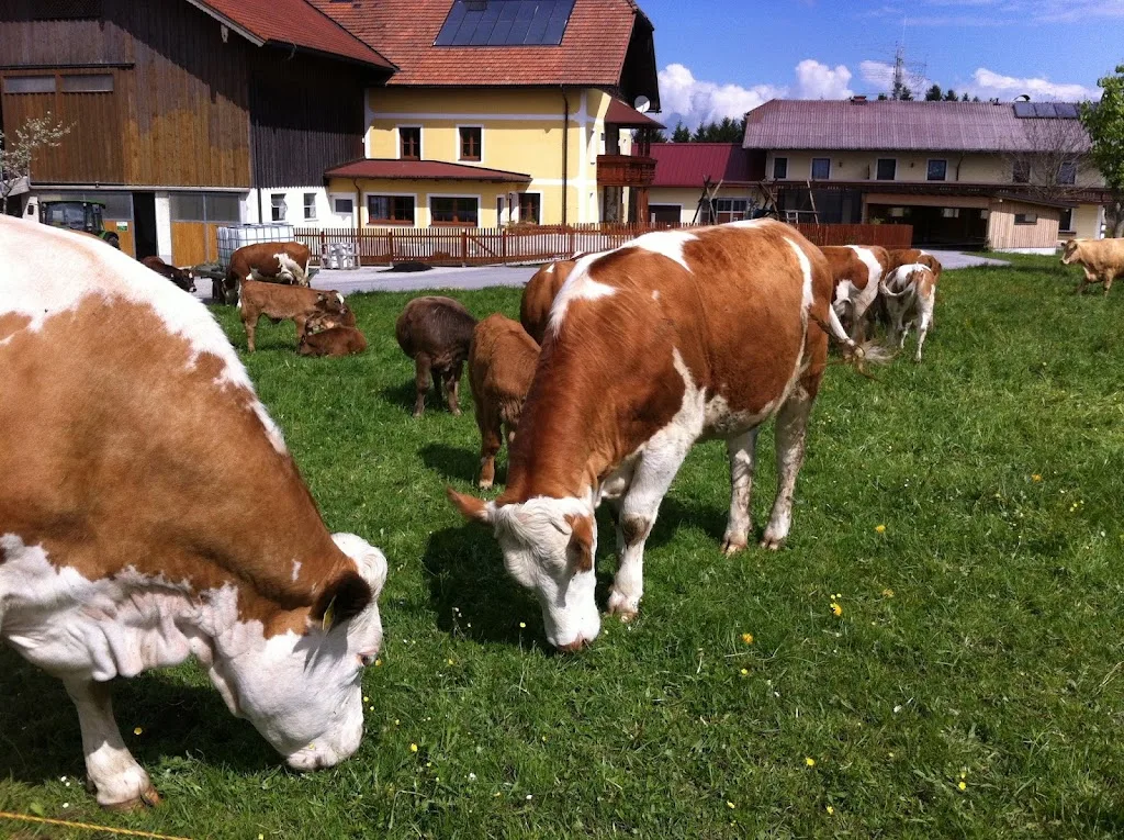 Fa. Josef Ametsreiter GmbH - Alles für den Stall !! - Foto 1