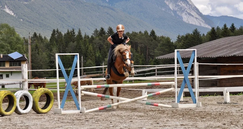 Reitstall Pegasus Längenfeld Nina Falkner - photo 2