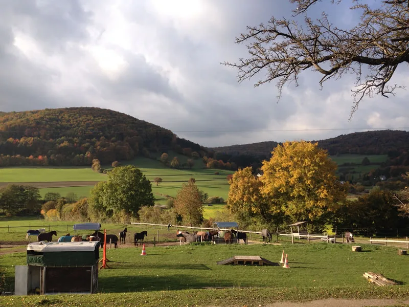 Wiedenhof im Wienerwald - photo 1