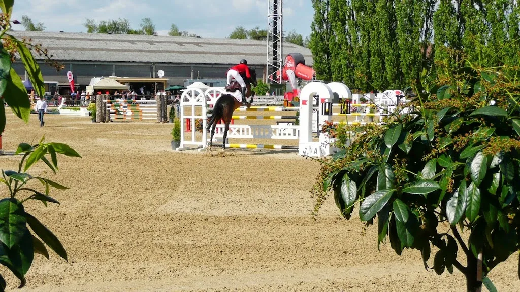 Pro Equus - Ihr Partner für Reitplatz, Paddock & Stallbedarf - Foto 2