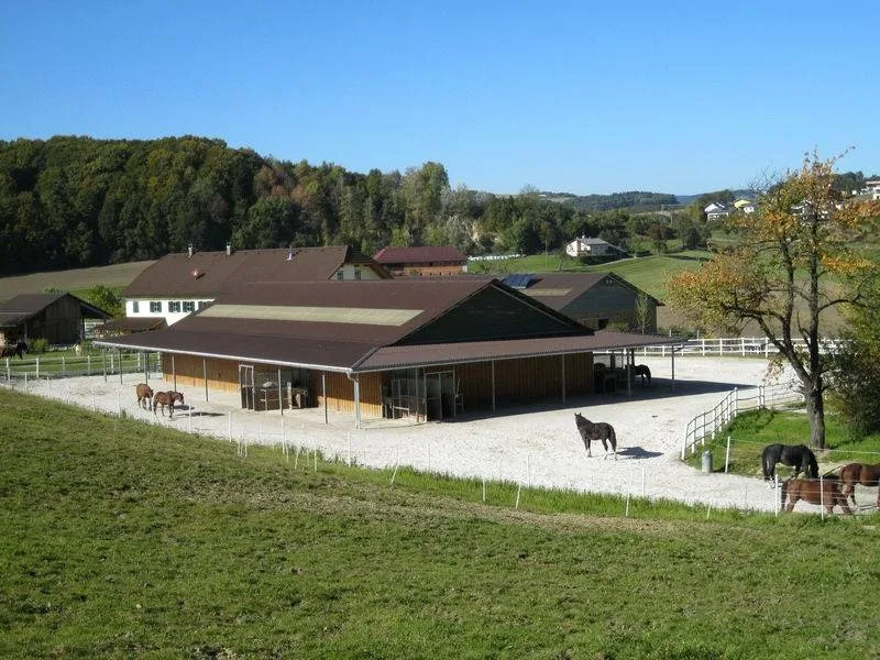 Reitanlage - Foto 1