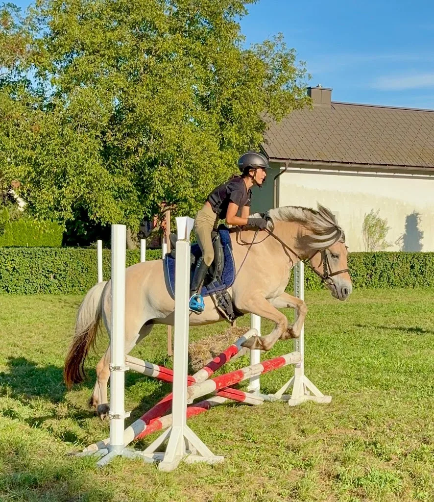 Reitschule Susanne & Jürgen Braun - photo 2