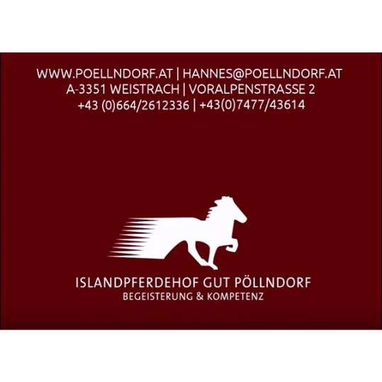 Islandpferdehof Gut Pöllndorf - Foto 1