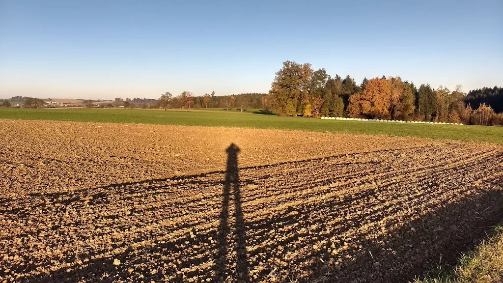 Islandpferdehof Gut Pöllndorf - Foto 2