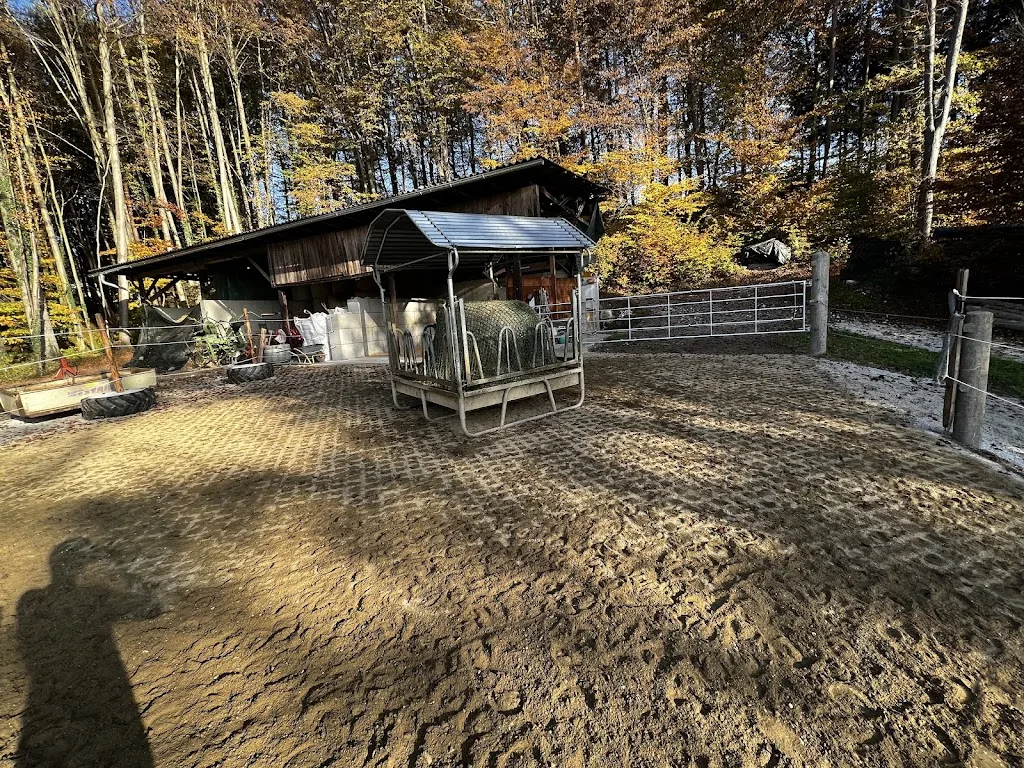 Pferdehof Platzer - Foto 1