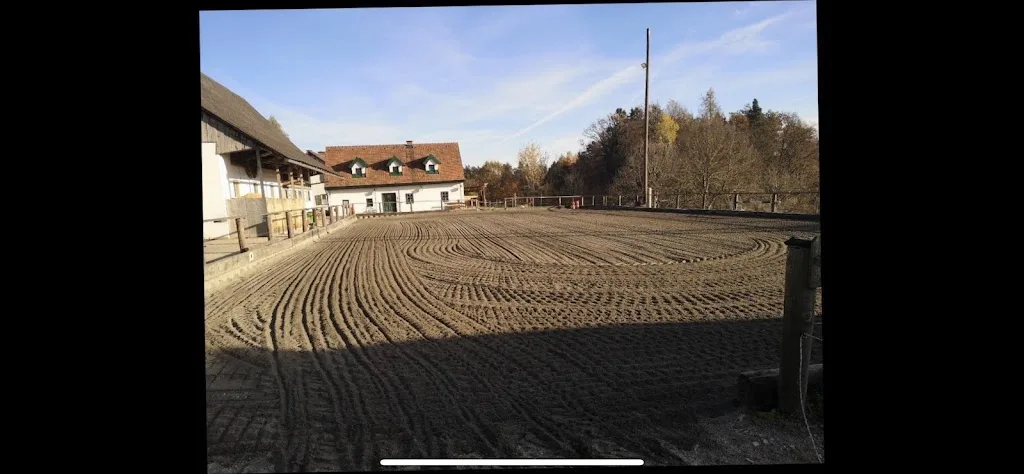 Pferdehof Platzer - Foto 3