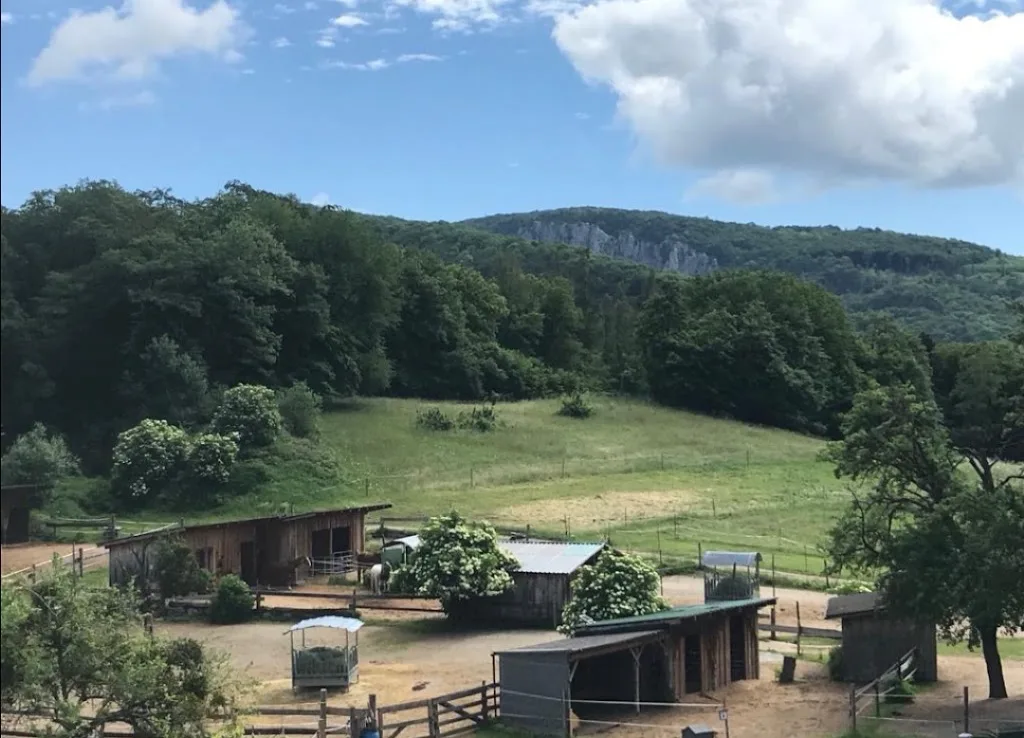 Wimmerhof, Berg 53, Reiterhof, Pferdepension und Hundezucht - Foto 3