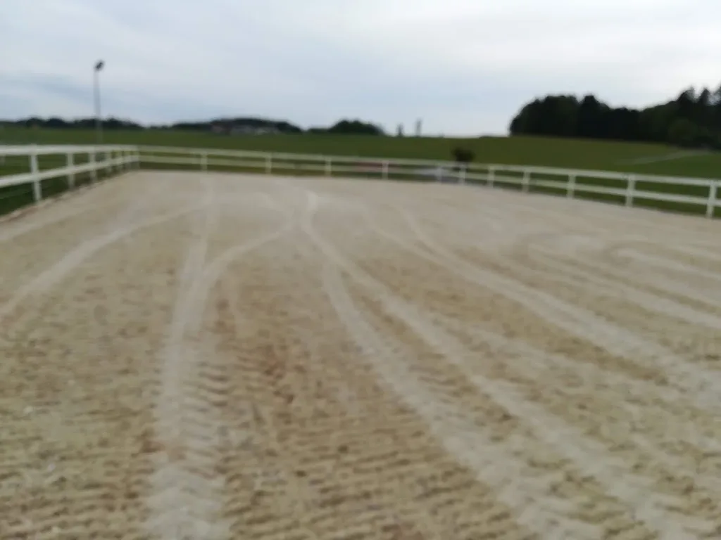Reitstall Loindl - Foto 1